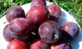 Вкус и назначение