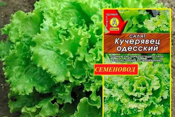 История селекции