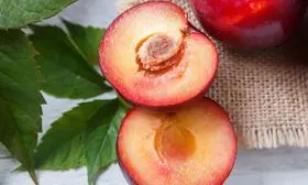 Вкусовые качества, предназначение