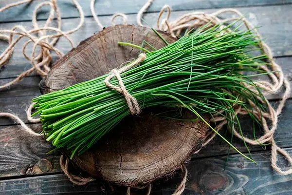 Сорту присущи такие характеристики