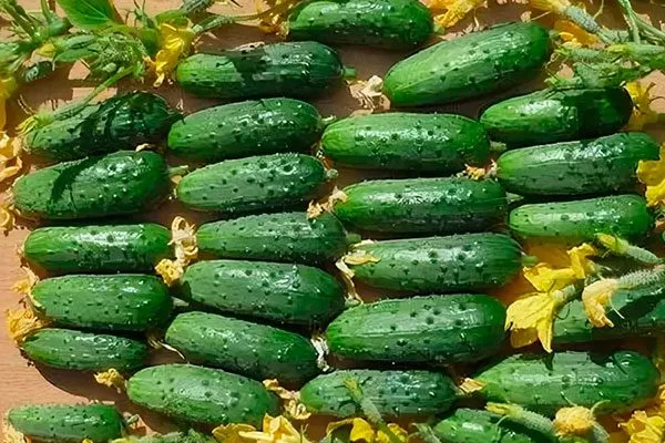 Сбор и применение урожая