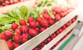 урожайный редис Рудольф