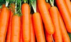 морковь Нежность