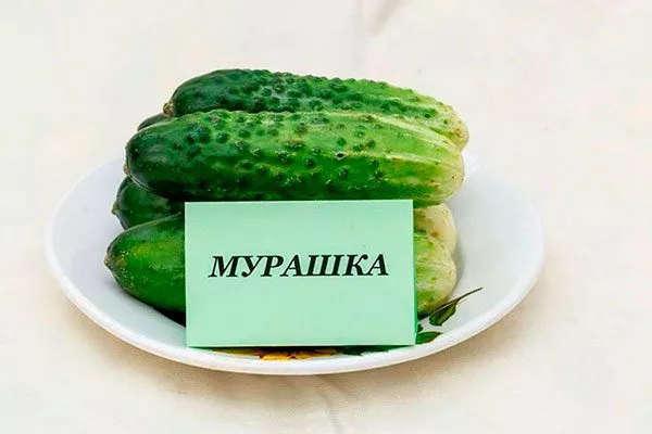 Сбор и хранение урожая