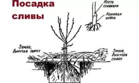 Алгоритм посадки