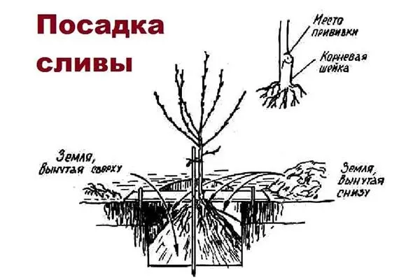 Алгоритм посадки