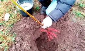 Алгоритм посадки2