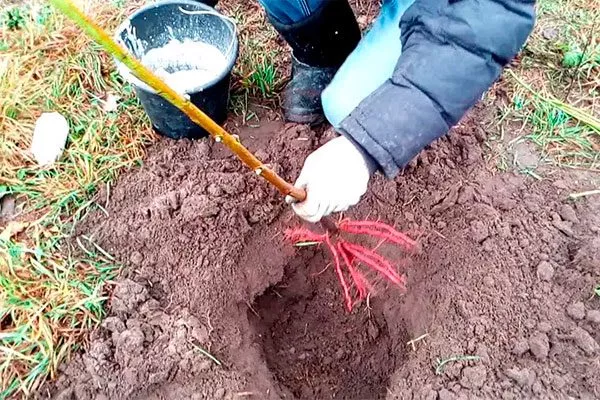 Алгоритм посадки2