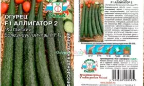 Аллигатор 2