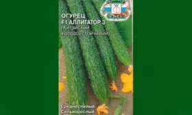 Аллигатор №3