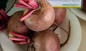 Основные характеристики