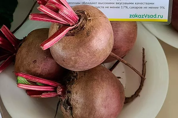 Основные характеристики