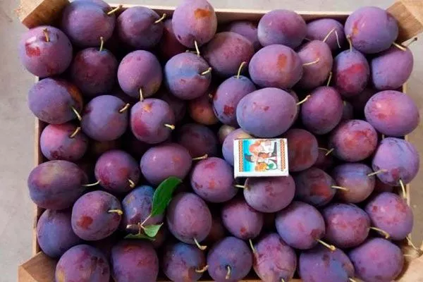 Уборка урожая