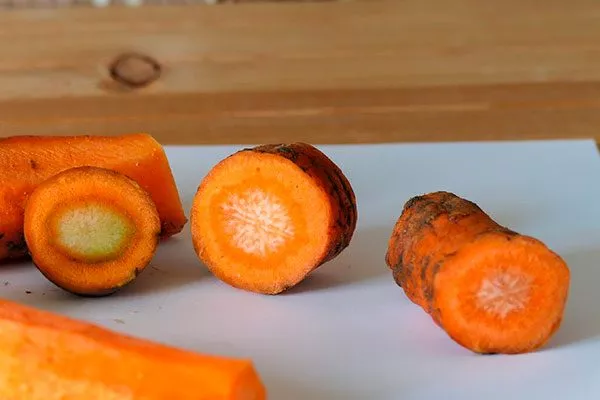 Белая сердцевина Морковь НИИОХ 336