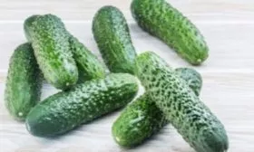 плоды Берендея