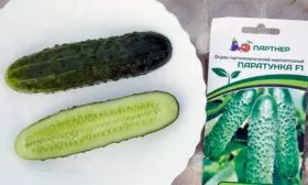 Вкус и предназначение