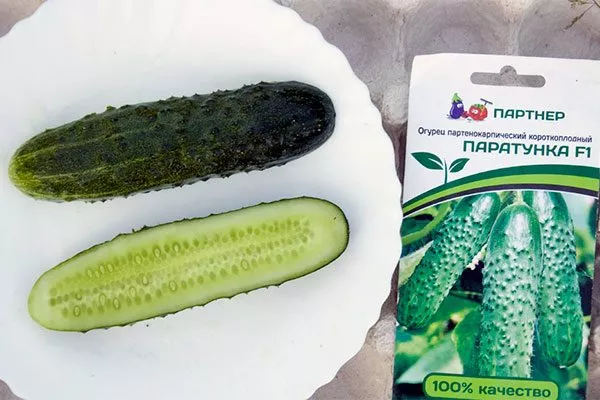 Вкус и предназначение