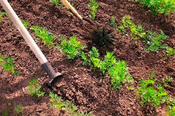 Очистка и борьба с сорняками