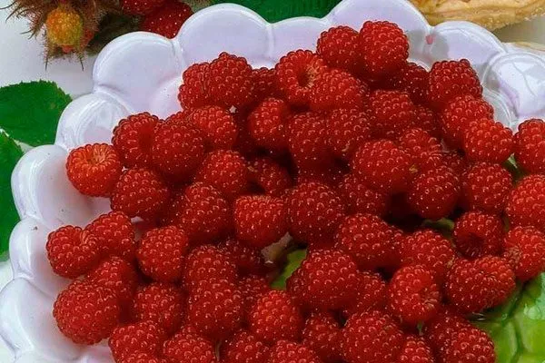 Применение в ландшафтном дизайне и кулинарии