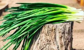 Что такое лук Китайский чеснок1