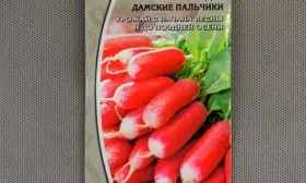 Дамские пальчики