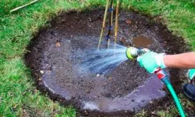 Регулярность поливов