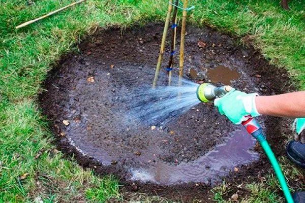 Регулярность поливов