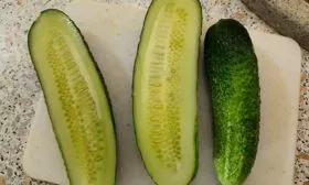 Вкус плодов и их назначение