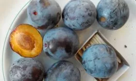 Плоды и их вкусовые характеристики