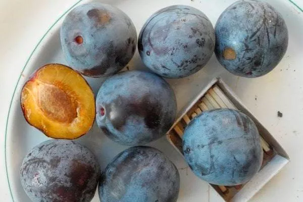 Плоды и их вкусовые характеристики