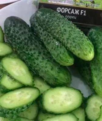 Назначение и вкусовые качества плодов