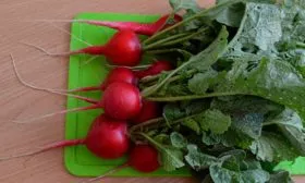 Вкус и назначение