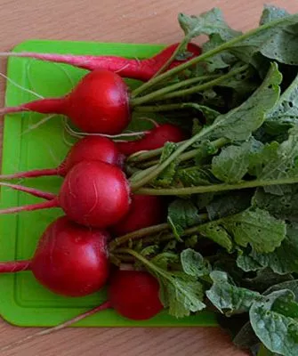 Русский размер