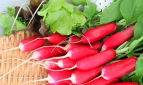 Форма, цвет и размеры корнеплода