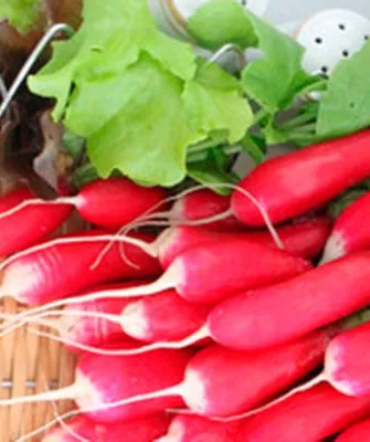 Французский завтрак