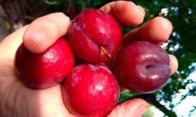 Правила хранения