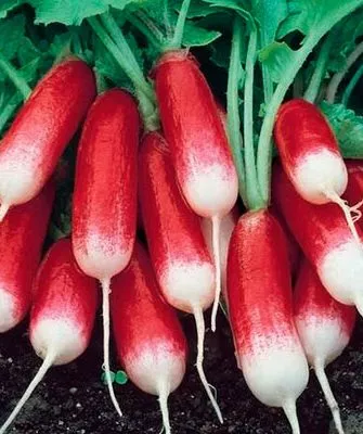 Французский завтрак