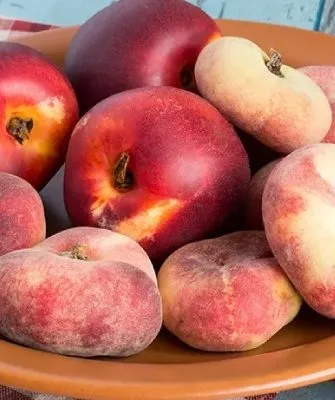 гибриды персиков