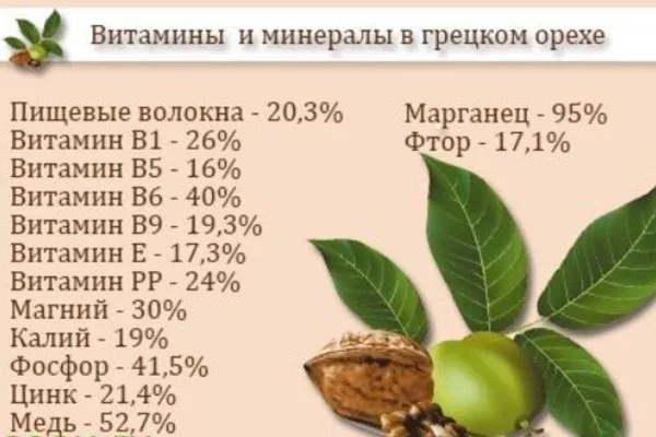 полезные вещества в орехе Астаховский