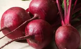 Характеристика внешнего вида