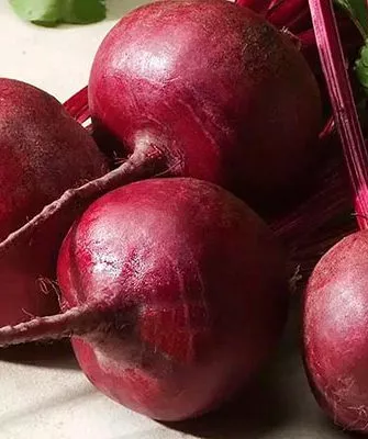 Характеристика внешнего вида