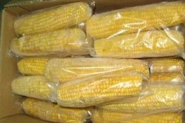 хранение кукурузы ракель