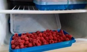 хранение малины Полана