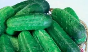 Представление о сорте