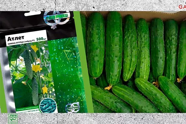 Представление о сорте