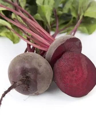 Представление о сорте