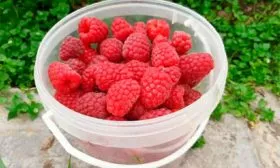 Урожайность