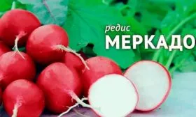 Представление о сорте