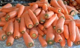 Сбор и хранение урожая