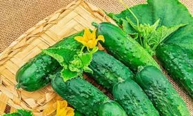 Вкус и использование